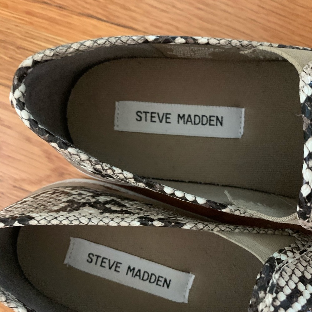 Snakeskin Steve Madden sneakers size 8 1/2